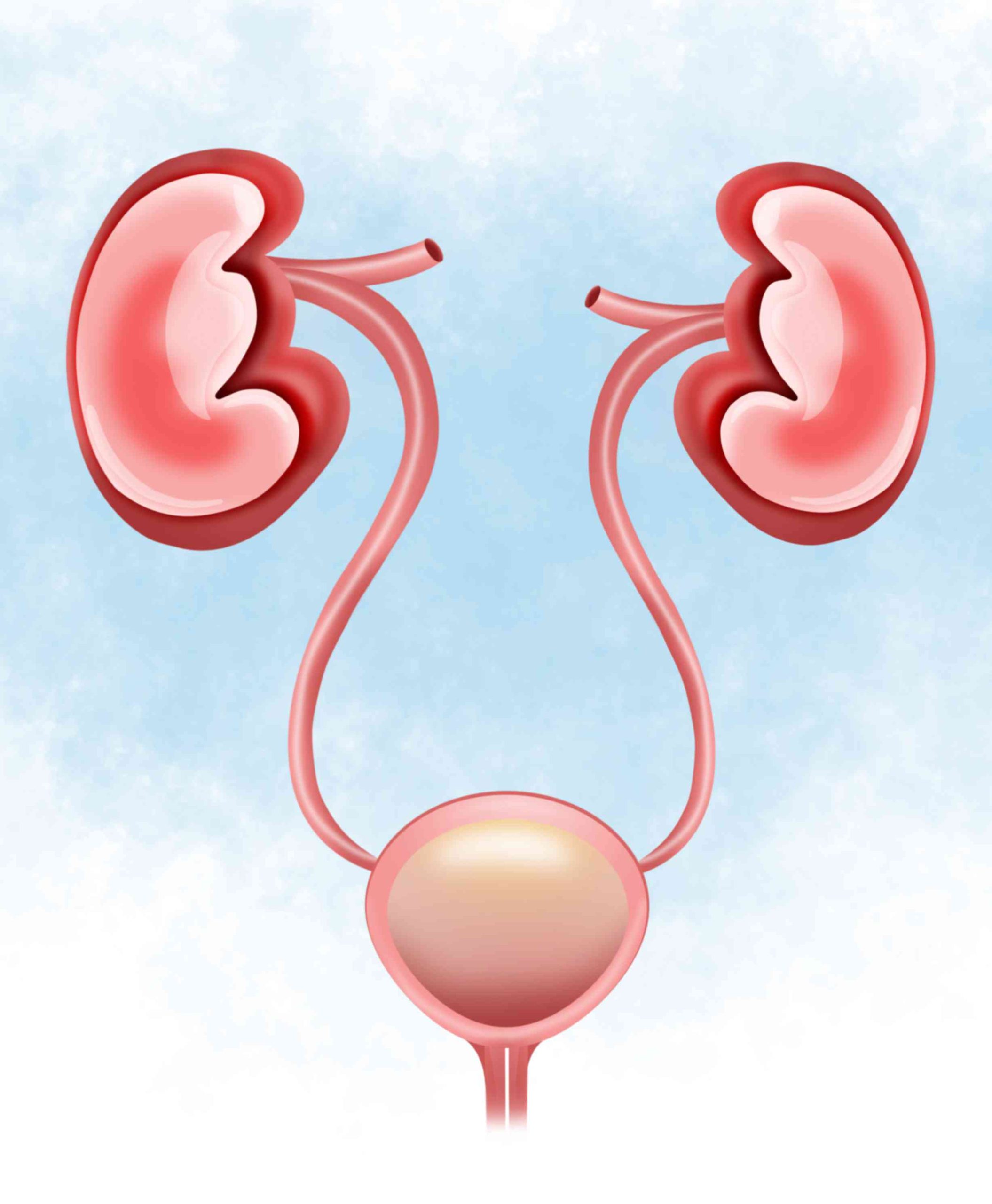Urology